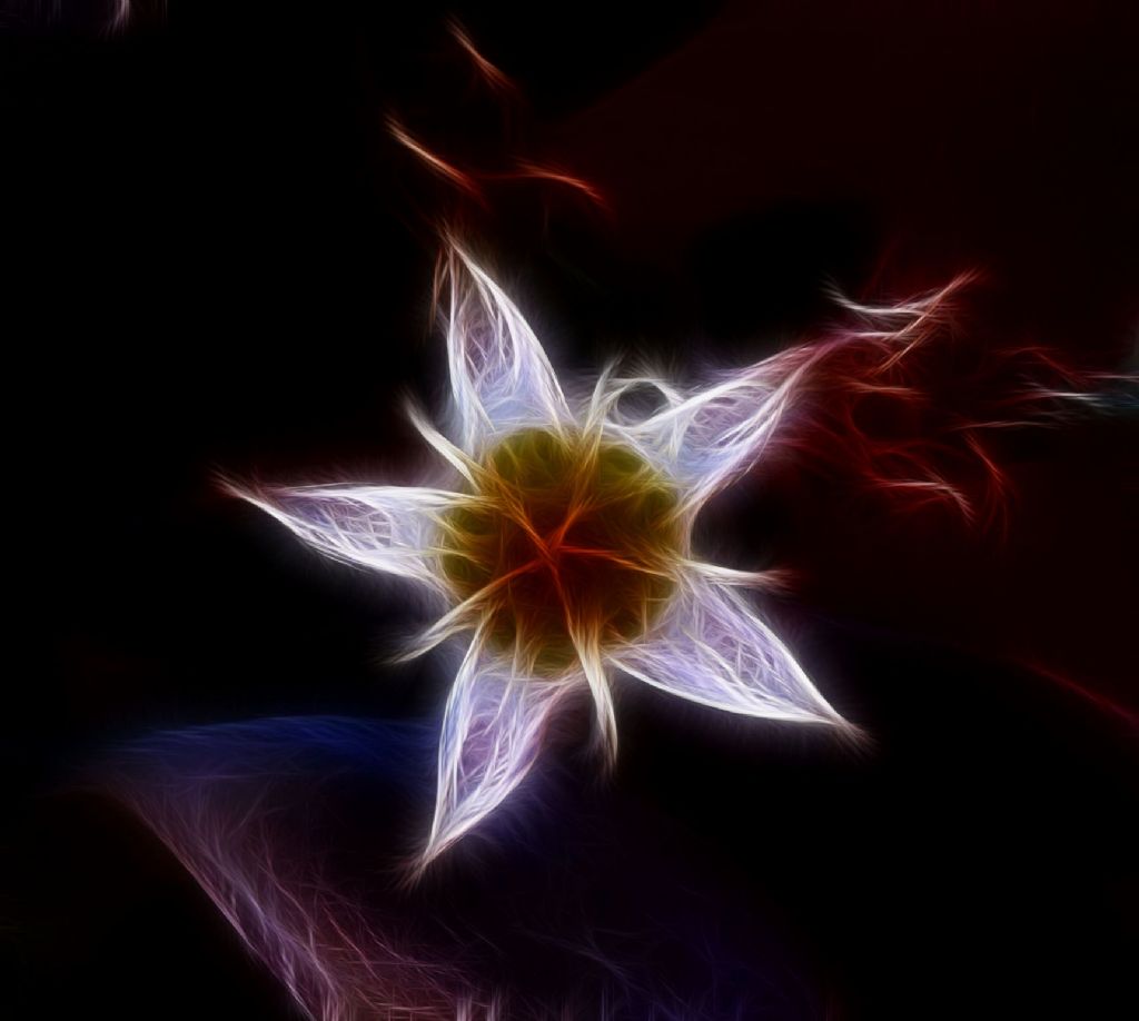 Dream Of Mandelbrot's Attractive Flower