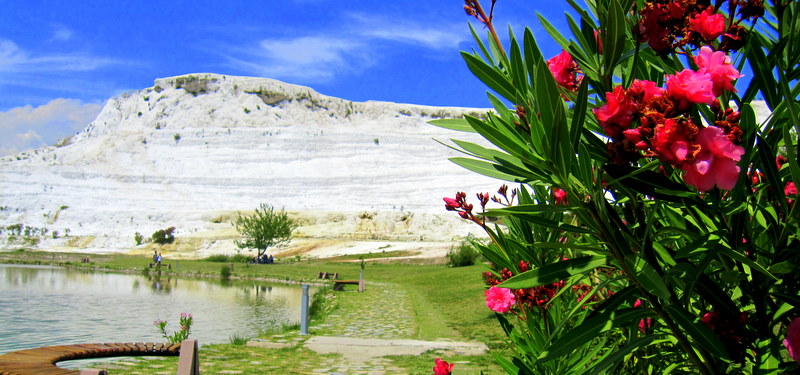 Pamukkale ve zakkumlar