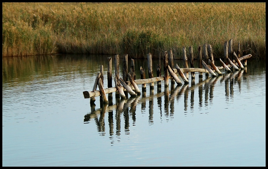 Dalyan