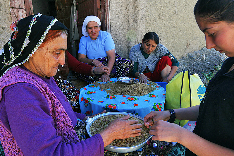 Bulgur ayklama