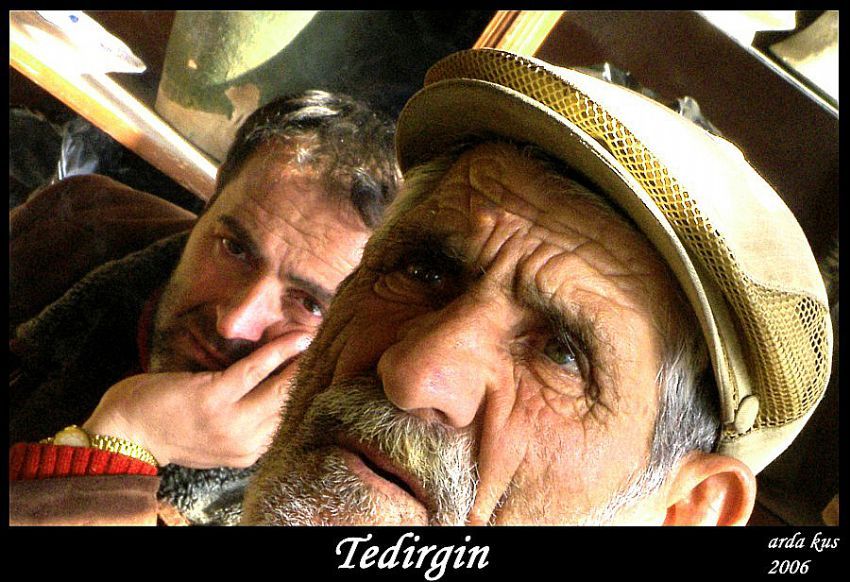 tedirgin