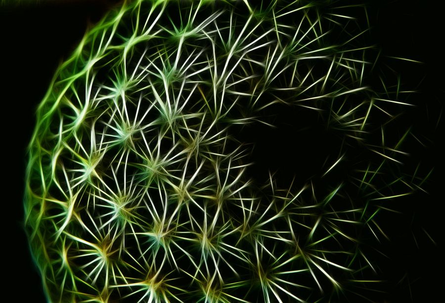 Green Fractal Storm