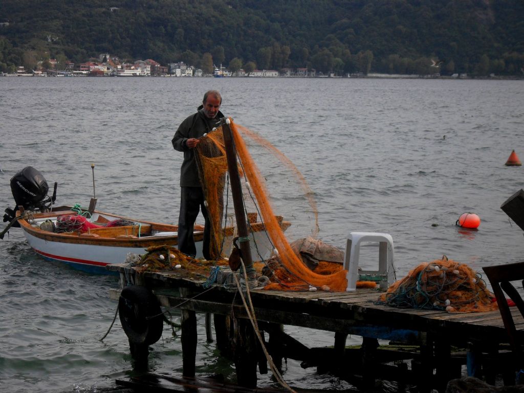 Rumeli kavanda   midye avnda