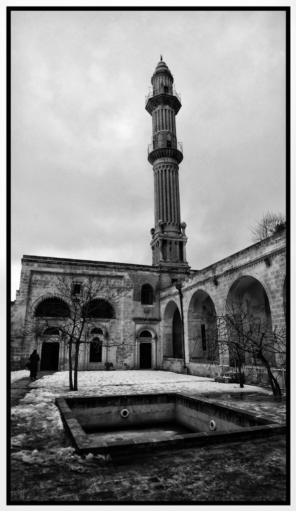 ehidiye Camii ve Medresesi