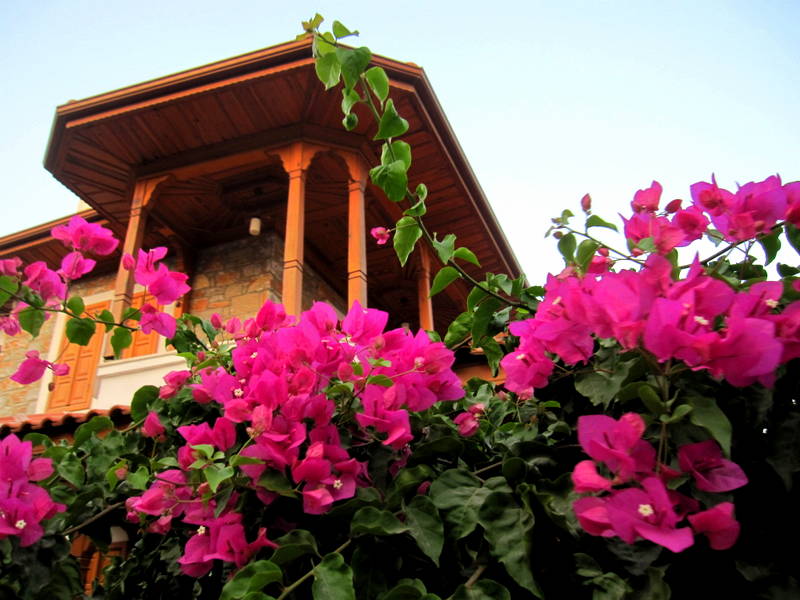 Mula Akyakada bir ev