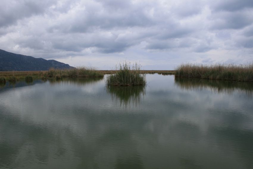 DALYAN