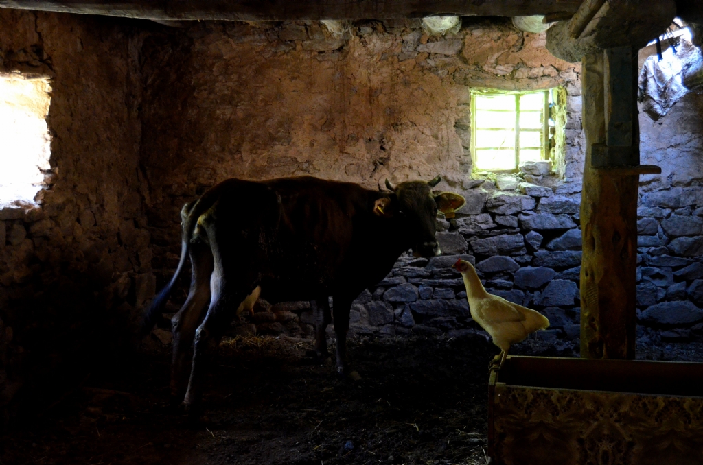 ah�rdan enstantene.)