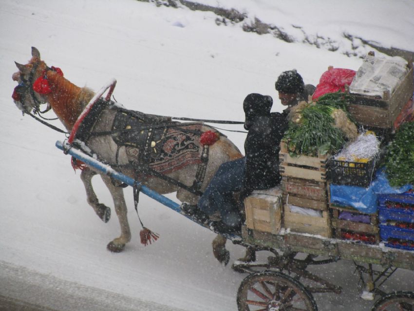 ekmek paras