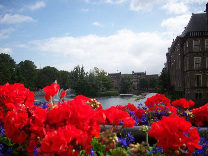 Den Haag parlemento binas