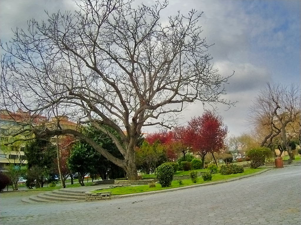 Dutluk park