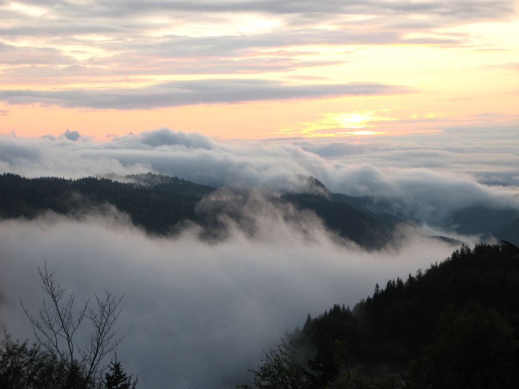 KASTAMONU ENPAZAR