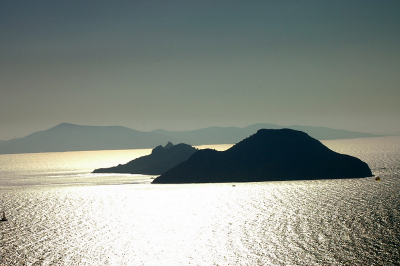 Turgutreisden ada grnts