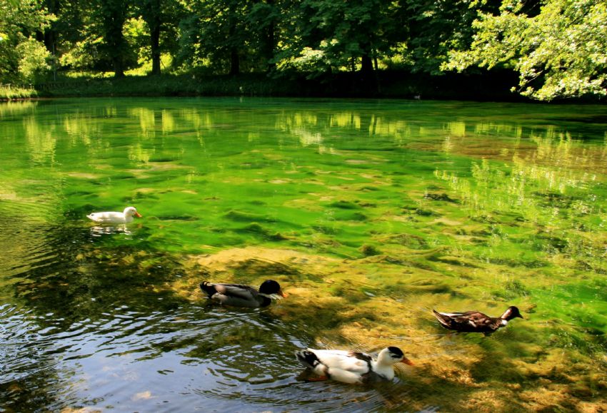 Saray Bosna Milli Park