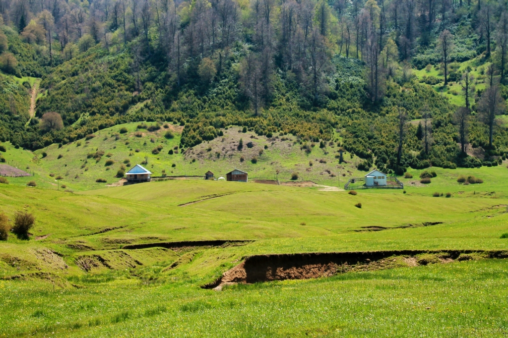 Yayla