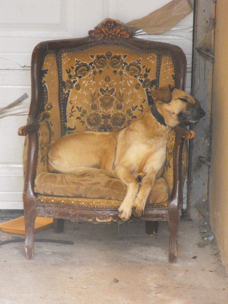 Ohh Gel keyfim gel...