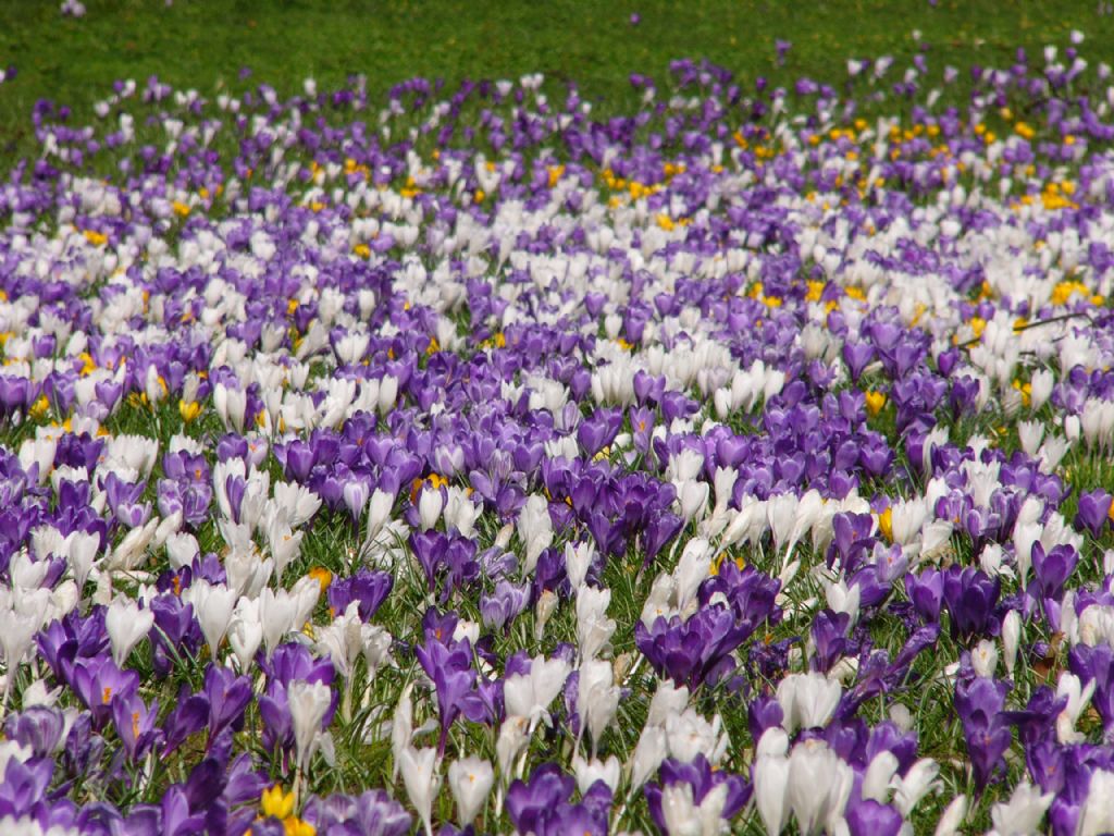 bir baska g�zel bahar