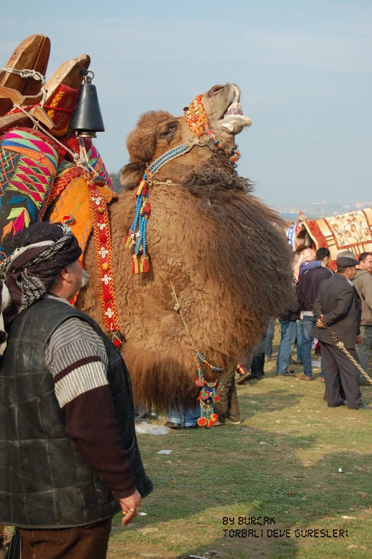 Yenmek & Yenilmek-4