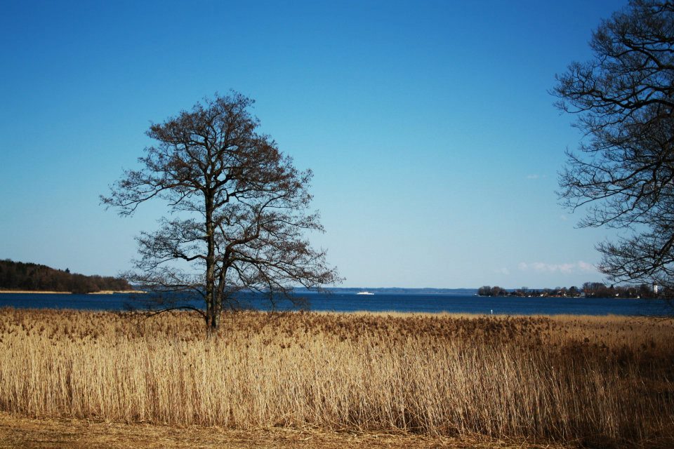 Chiemsee