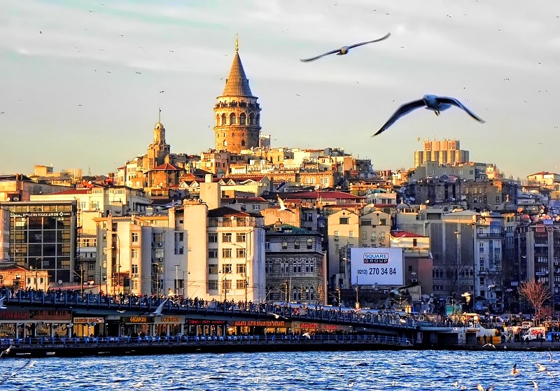 galata ve martlar