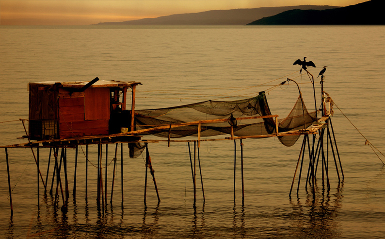 Dalyan'n bekileri