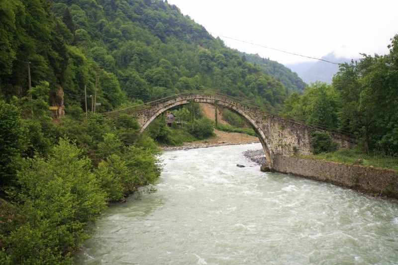 Rize enyuva kprs