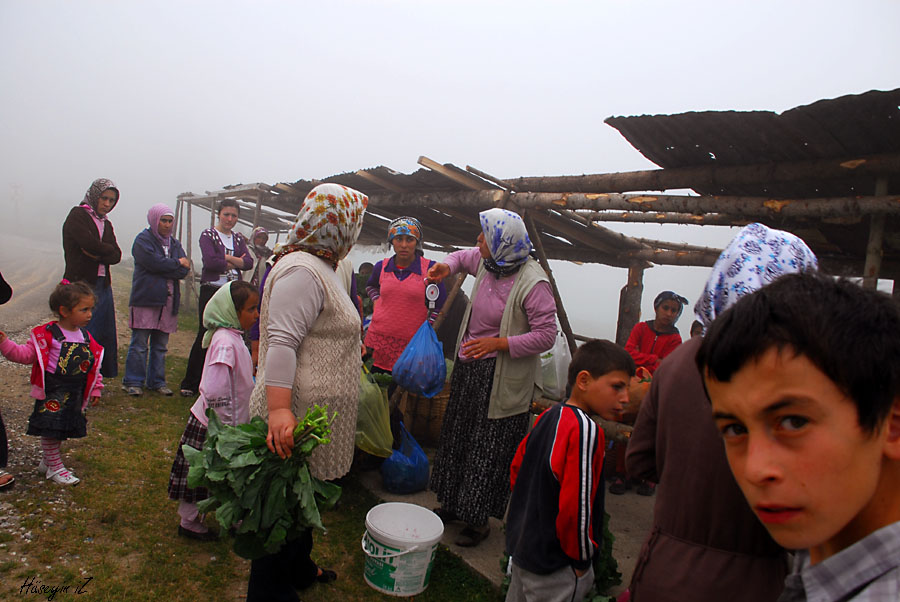 Yayla pazar