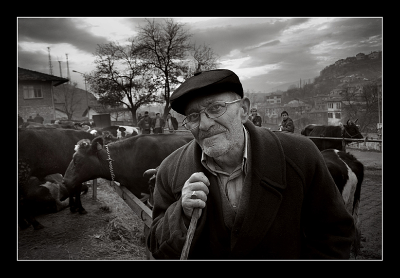 Safranbolu Hayvan Pazar