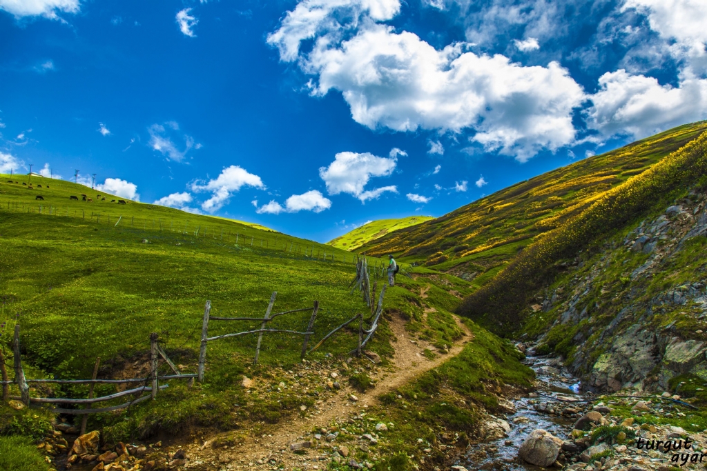 giresun kmbet yaylasndan bir grnt