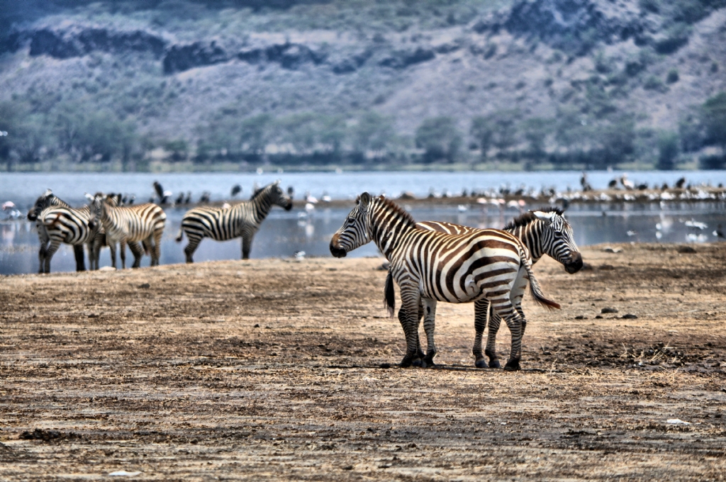 Nakuru sakinleri