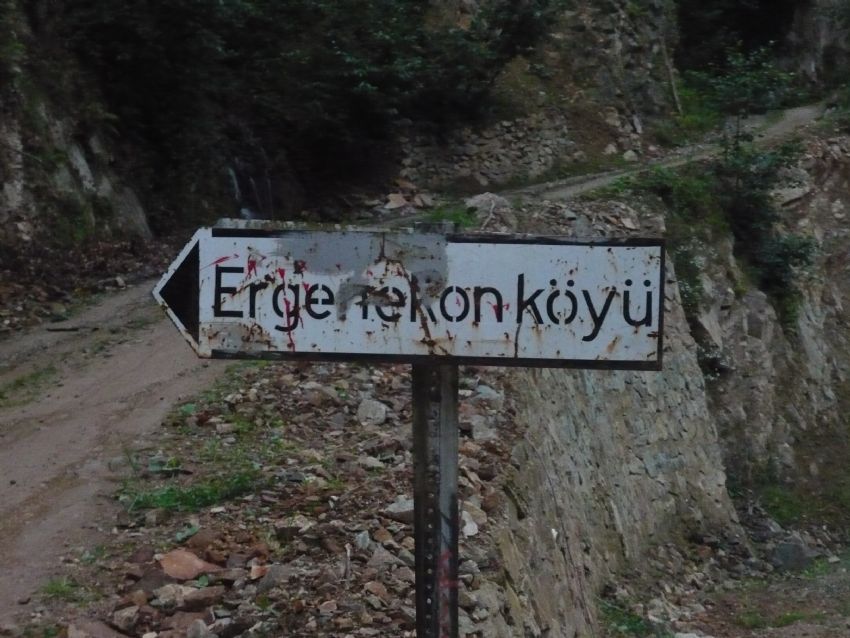 ergenokon