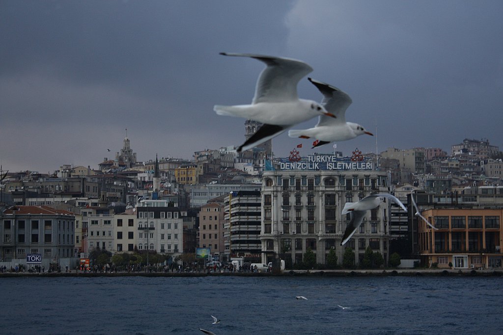 stanbul Kanatlarmn Altnda...