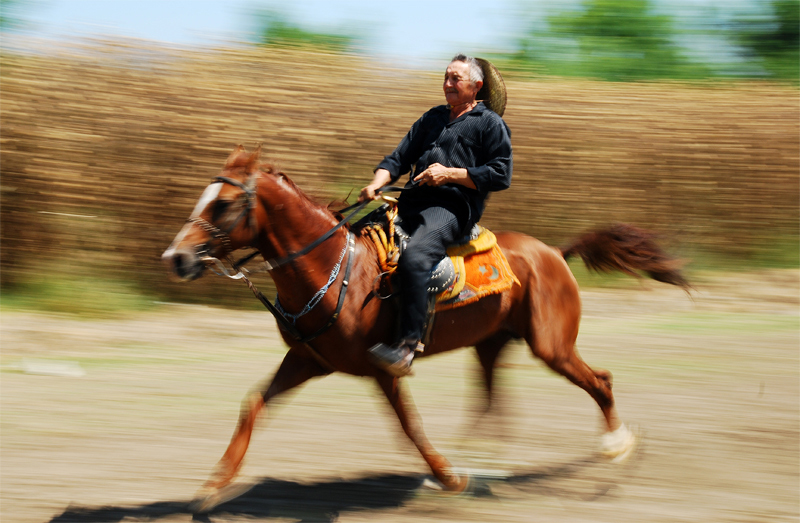 Rahvan Atlar(panning)