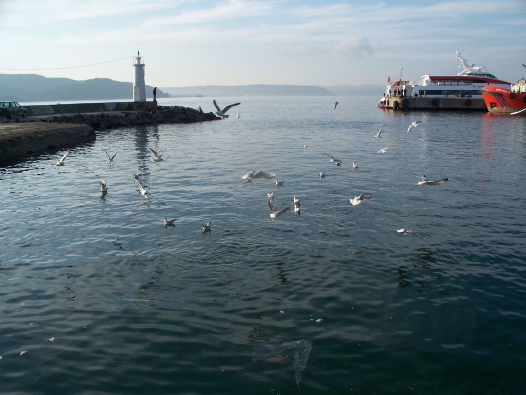 denizfeneri