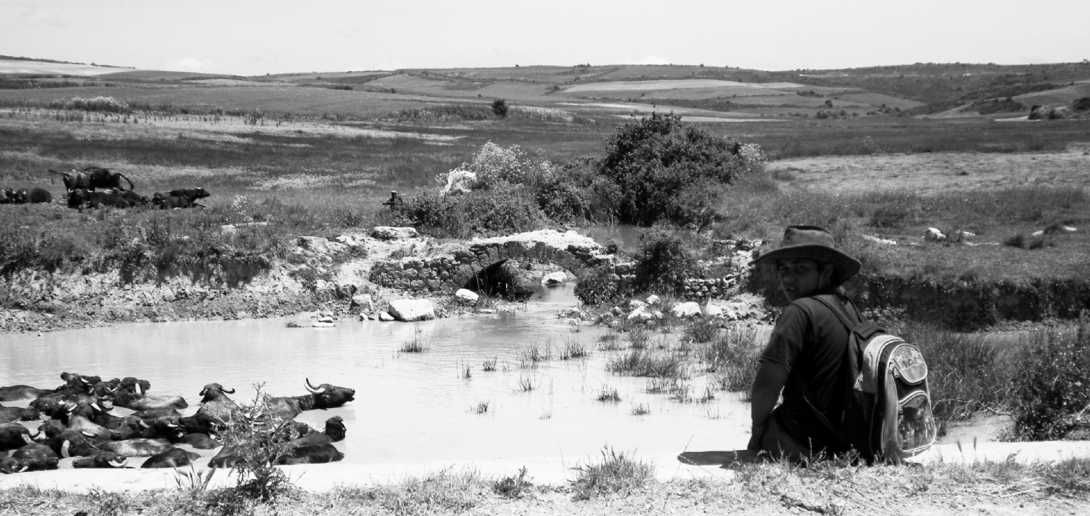 Young Cowboy ''Nakkal oban''