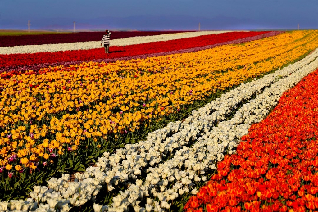 G�n�l �ay�rlar�m�z� dolduran renklerle....