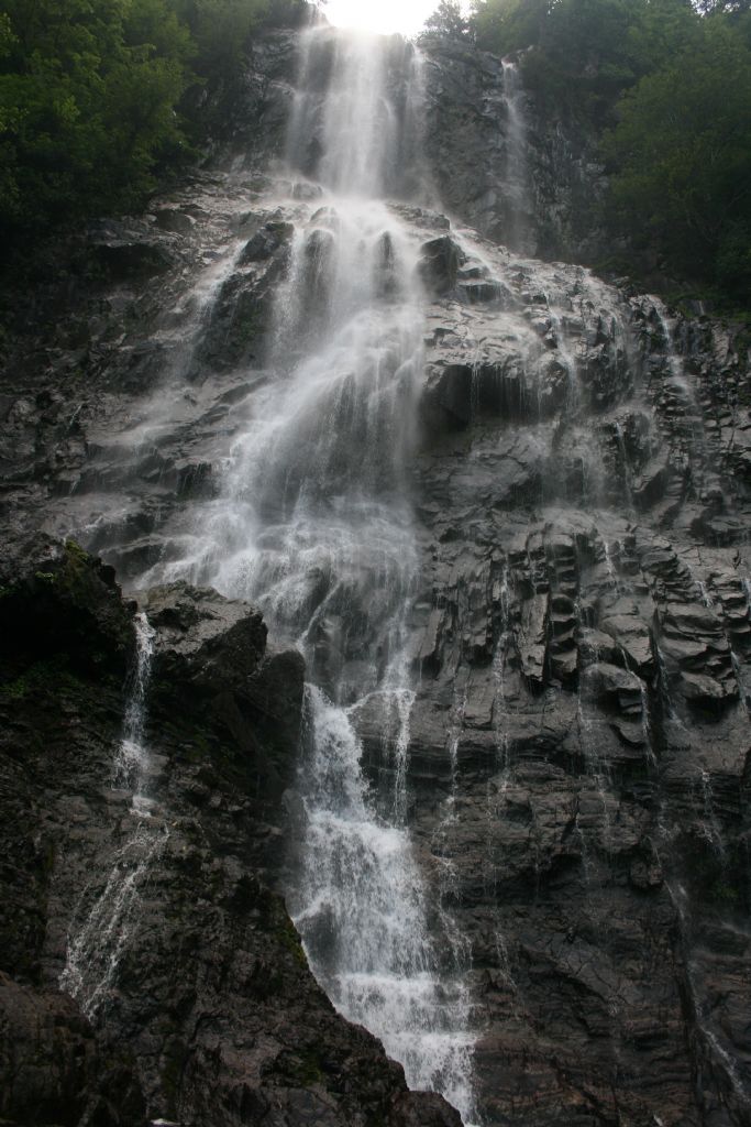 artvin arhavi mencuna elalesi 