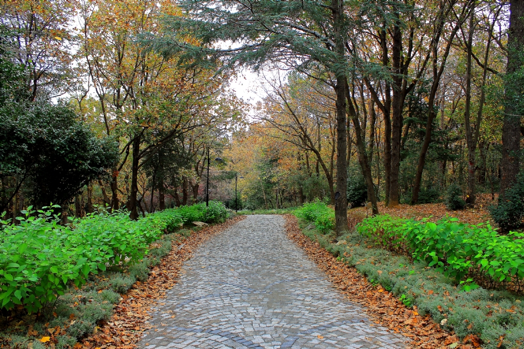 K���k �aml�ca