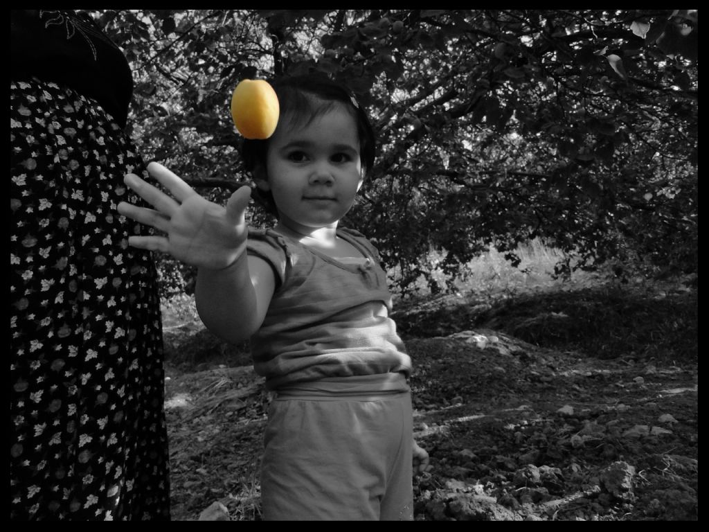 makineye kays atarken