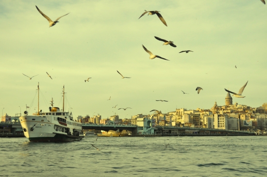 Galata Kulesi & Kprs