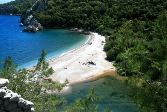 Olympos Koyu-2