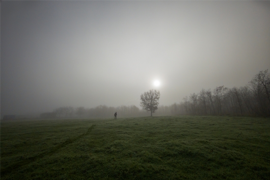 İçimizi Isıtan Güneş’e Doğru