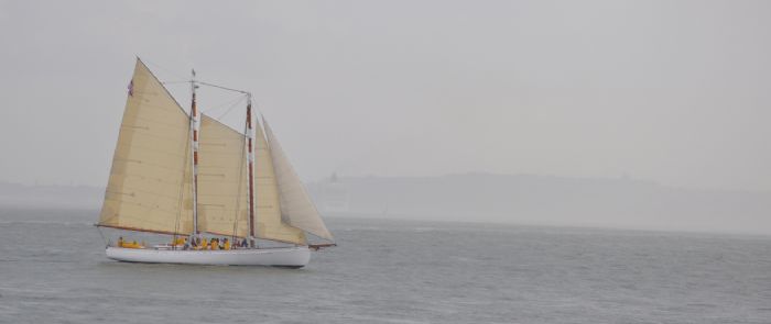 Sail Boat-yelkenli- New York City