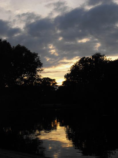 Zuiderpark (den Haag)