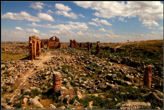 Urfa Harran