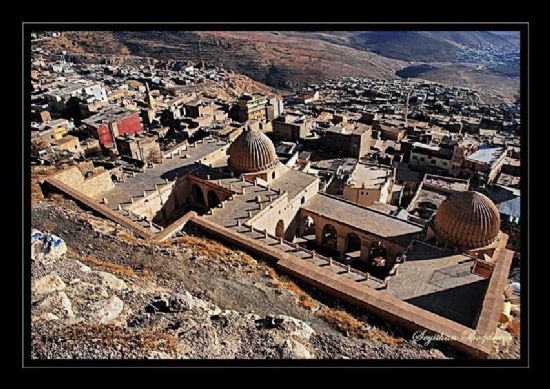 Mardin