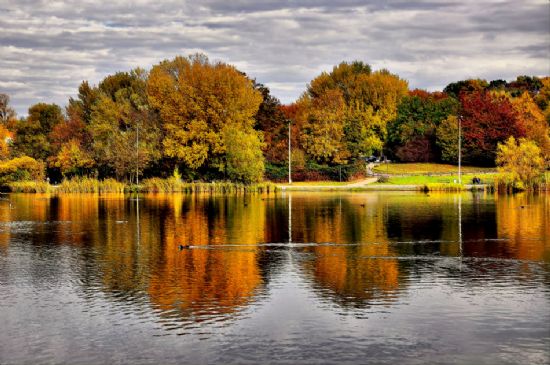 Hohnsensee Hildesheim