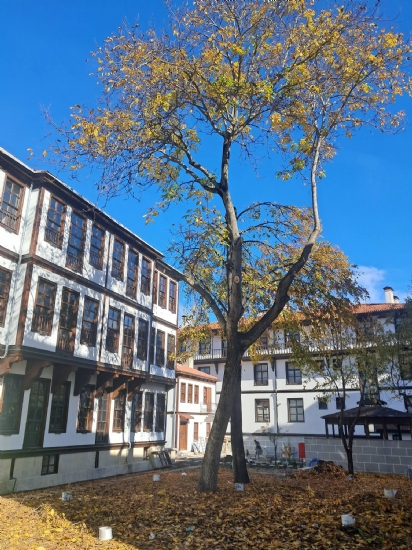 Kastamonu Konakları