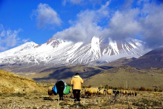 Yayla Yolu