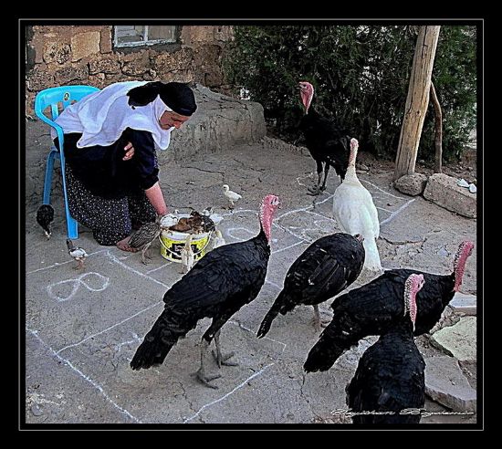 Mardin Yaamdan