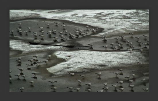 Mart�lar�n Sessizli�i